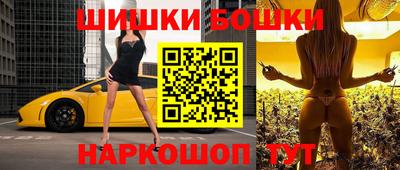 СК Бийск