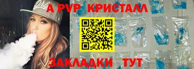 СК Бийск